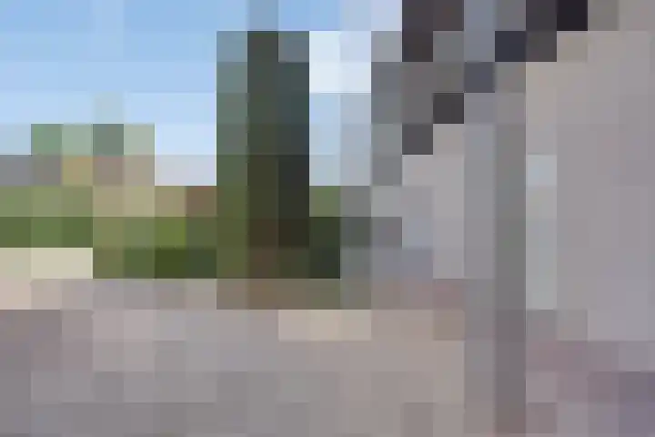 Ridderhof 132 Oss thumbnail 18