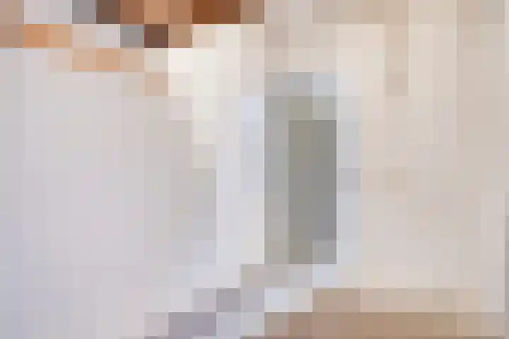 Ridderhof 132 Oss thumbnail 21