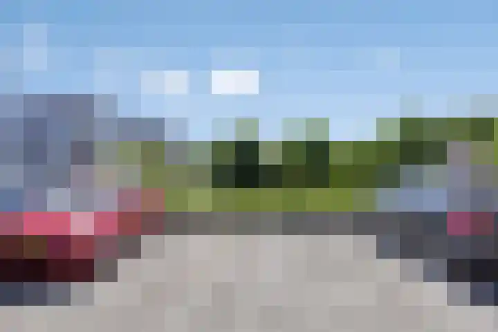 Ridderhof 132 Oss thumbnail 22