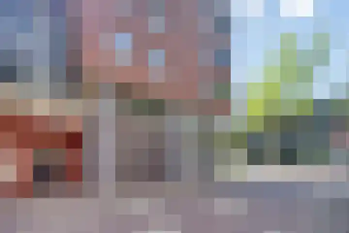 Ridderhof 132 Oss thumbnail 26