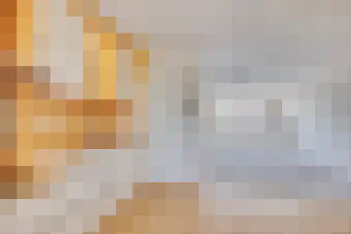 Ridderhof 132 Oss thumbnail 4