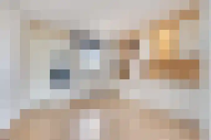 Ridderhof 132 Oss thumbnail 5