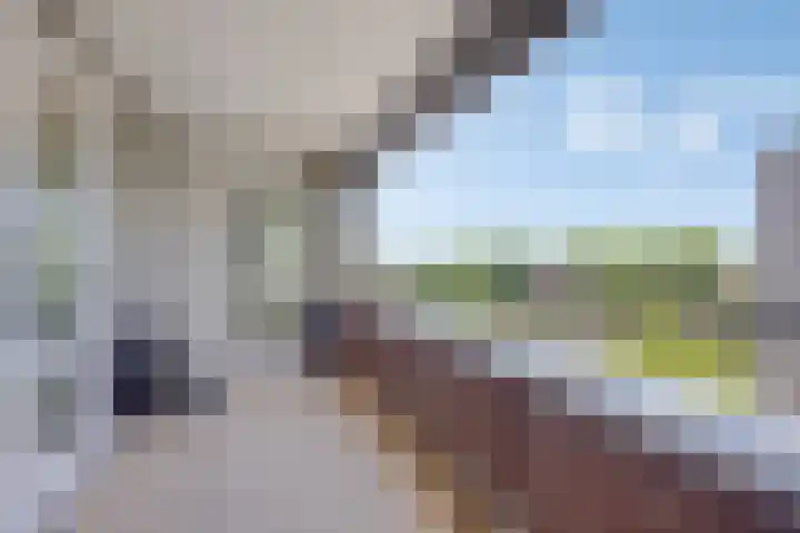 Ridderhof 132 Oss thumbnail 7