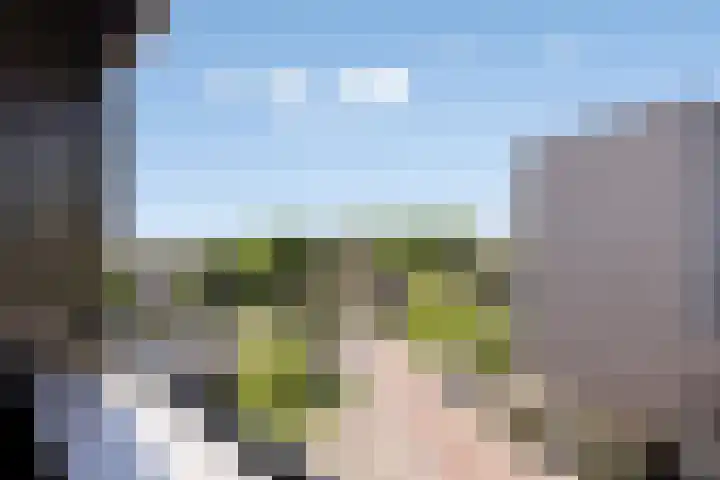 Ridderhof 132 Oss thumbnail 8