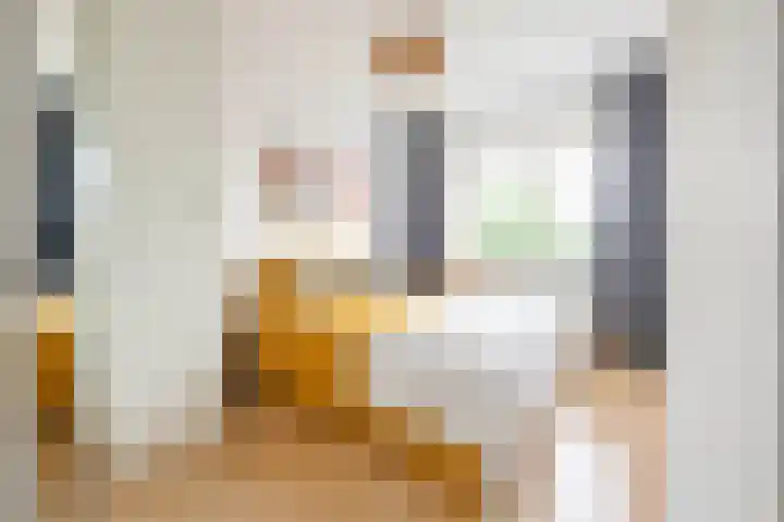 Ridderhof 22 Zoelmond thumbnail 10