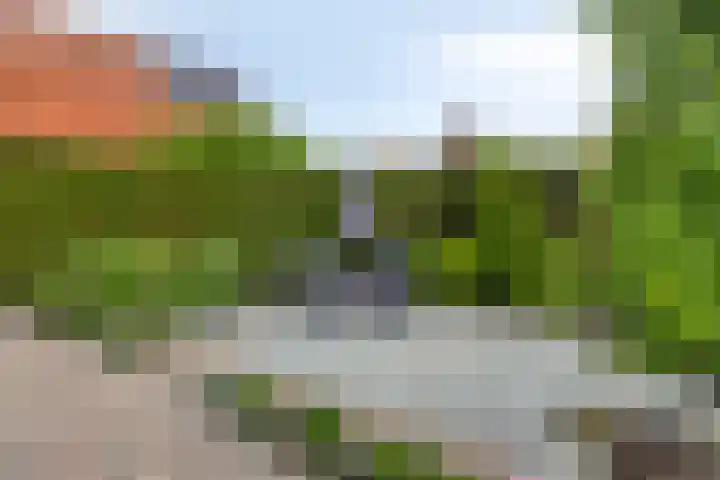 Ridderhof 22 Zoelmond thumbnail 19