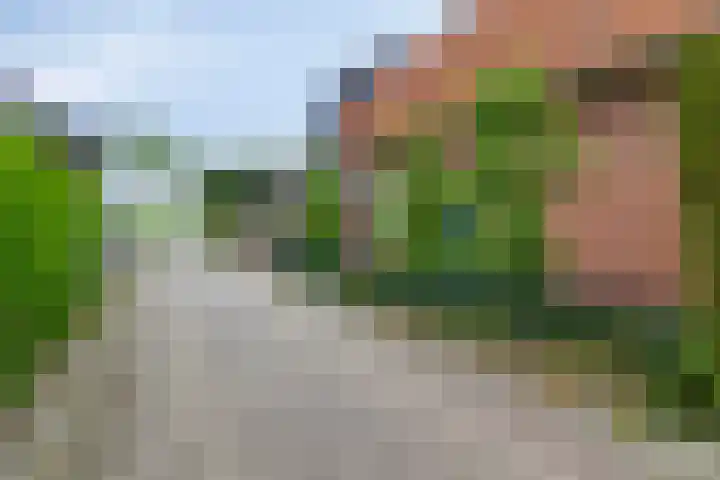 Ridderhof 22 Zoelmond thumbnail 22