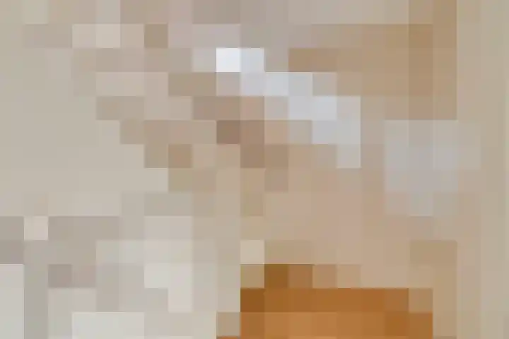Ridderhof 22 Zoelmond thumbnail 25