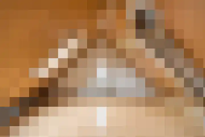 Ridderhof 22 Zoelmond thumbnail 33
