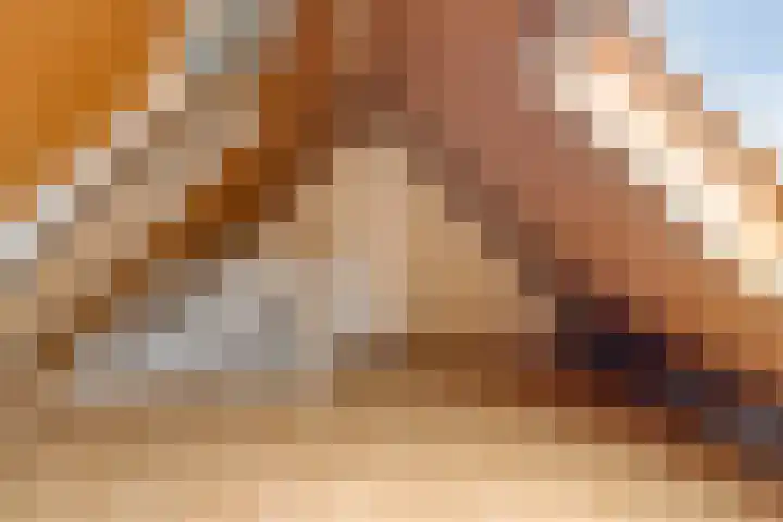 Ridderhof 22 Zoelmond thumbnail 34