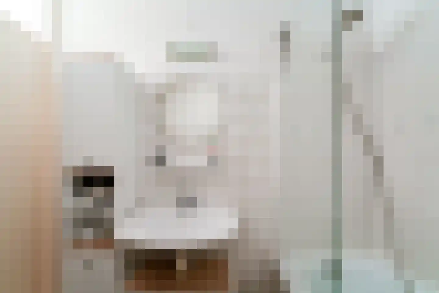 Ridderhof 22 Zoelmond thumbnail 39