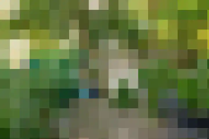 Ridderhof 22 Zoelmond thumbnail 45