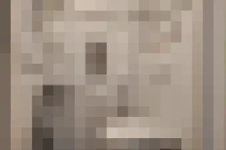 Ridderhof 22 Zoelmond thumbnail 48