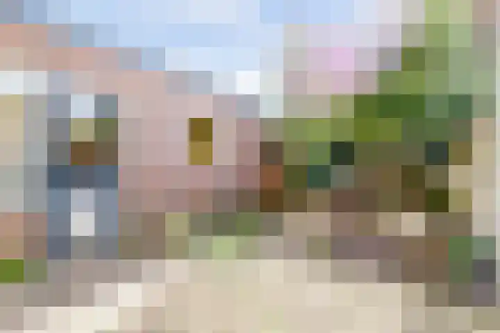 Ridderhof 22 Zoelmond thumbnail 5