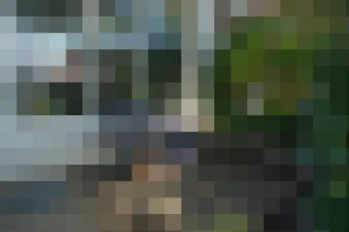 Ridderhof 22 Zoelmond thumbnail 7