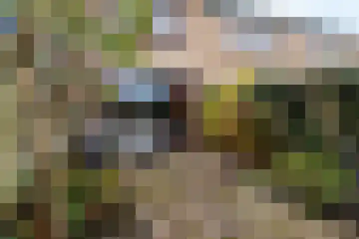 Ridderhof 31 Arnhem thumbnail 22