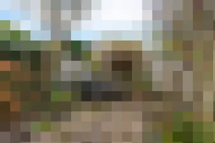 Ridderhof 31 Arnhem thumbnail 24