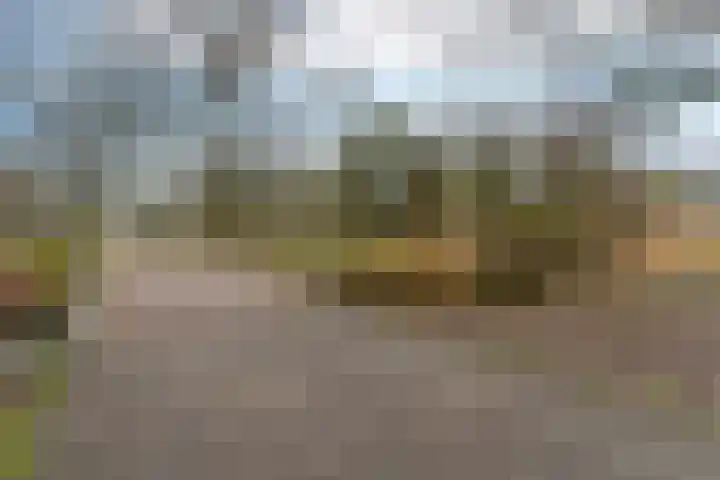Ridderhof 31 Arnhem thumbnail 27