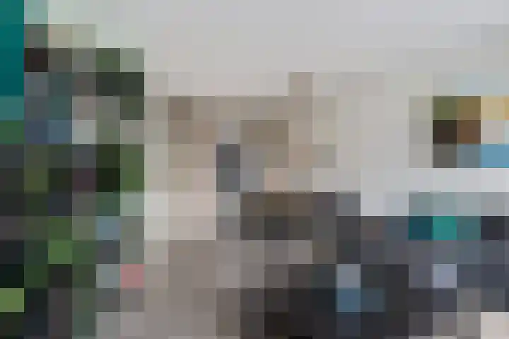 Ridderhof 31 Arnhem thumbnail 9