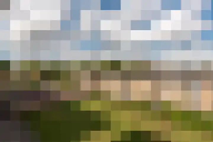 Ridderlaan 33 3 Utrecht thumbnail 19