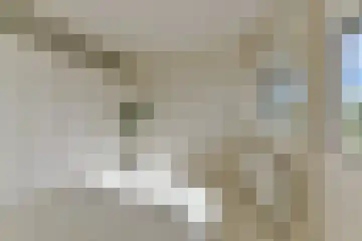 Ridderlaan 33 3 Utrecht thumbnail 22