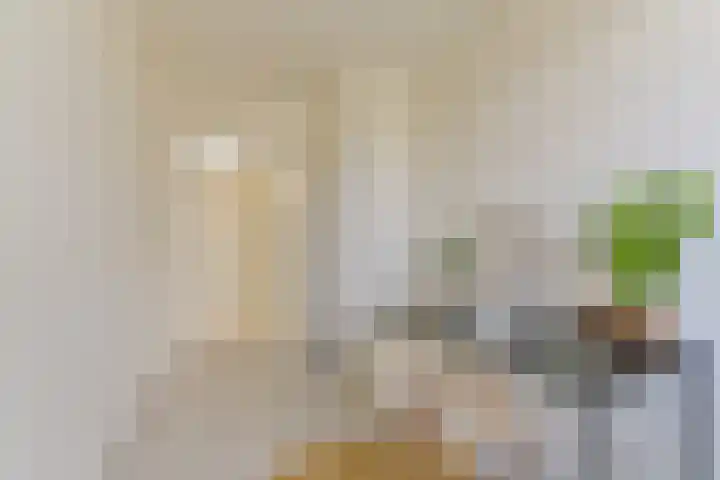 Ridderlaan 33 3 Utrecht thumbnail 26