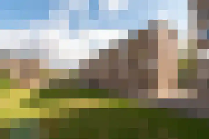 Ridderlaan 33 3 Utrecht thumbnail 32