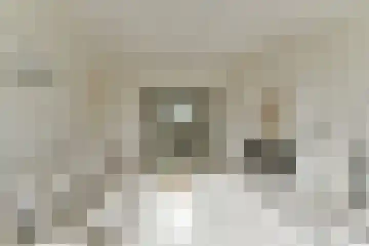 Ridderlaan 33 3 Utrecht thumbnail 6