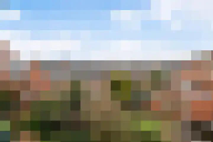 Ridderlaan 41 Den Haag thumbnail 12