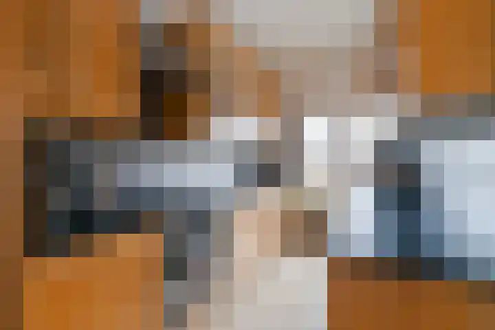 Ridderlaan 41 Den Haag thumbnail 13