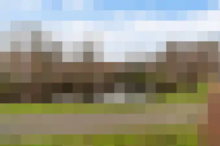 Ridderlaan 41 Den Haag thumbnail 27