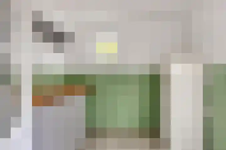 Ridderspoor 10 Zwaag thumbnail 13