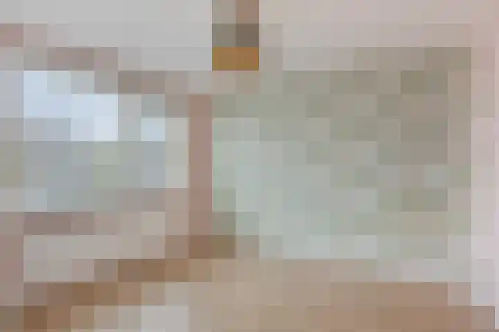 Ridderspoor 10 Zwaag thumbnail 16