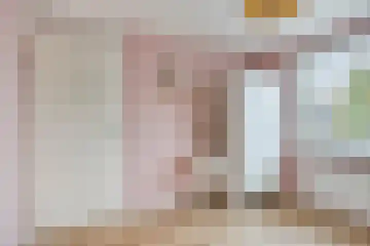 Ridderspoor 10 Zwaag thumbnail 17