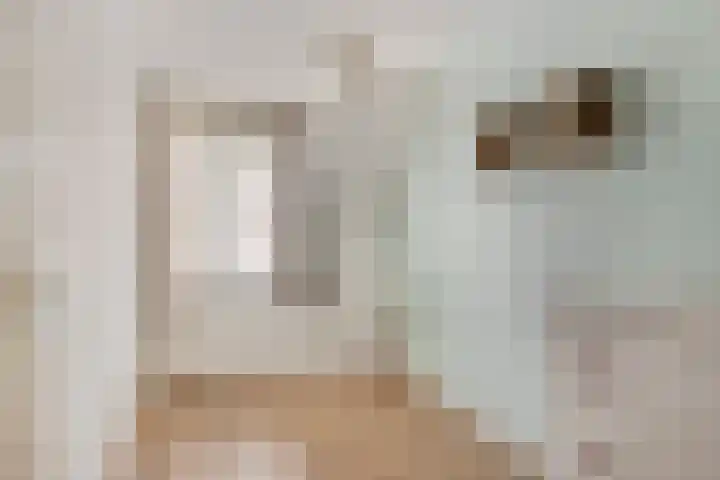 Ridderspoor 10 Zwaag thumbnail 18
