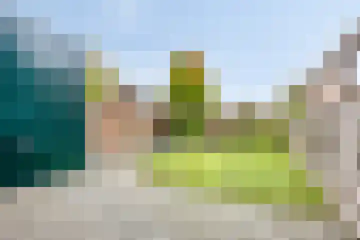 Ridderspoor 10 Zwaag thumbnail 24