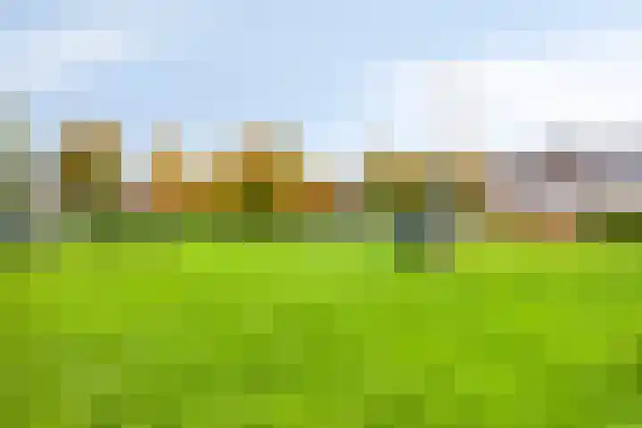 Ridderspoor 10 Zwaag thumbnail 28