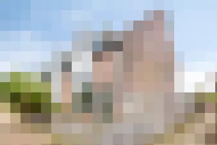 Ridderspoor 10 Zwaag thumbnail 5