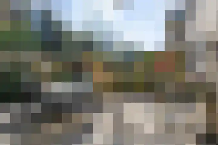 Ridderspoor 24 Nijmegen thumbnail 15