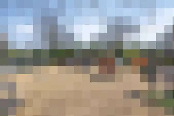 Ridderspoor 24 Nijmegen thumbnail 20