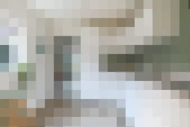 Ridderspoor 3 Hoevelaken thumbnail 11