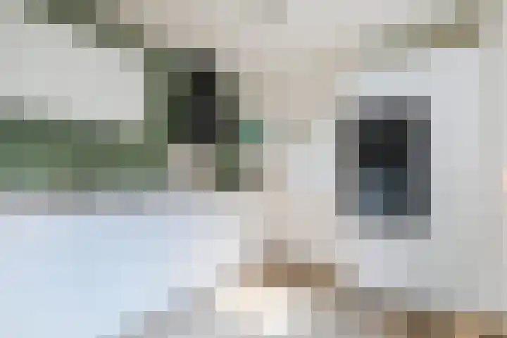 Ridderspoor 3 Hoevelaken thumbnail 15