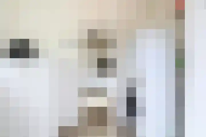 Ridderspoor 3 Hoevelaken thumbnail 16