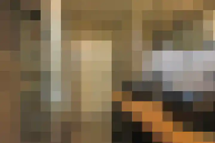 Ridderspoor 3 Hoevelaken thumbnail 22