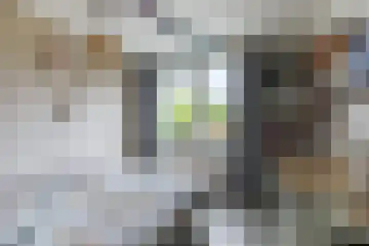 Ridderspoor 3 Hoevelaken thumbnail 25