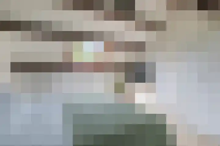 Ridderspoor 3 Hoevelaken thumbnail 31