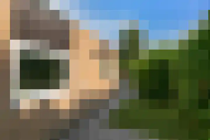 Ridderspoor 3 Hoevelaken thumbnail 33