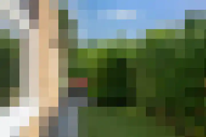 Ridderspoor 3 Hoevelaken thumbnail 34