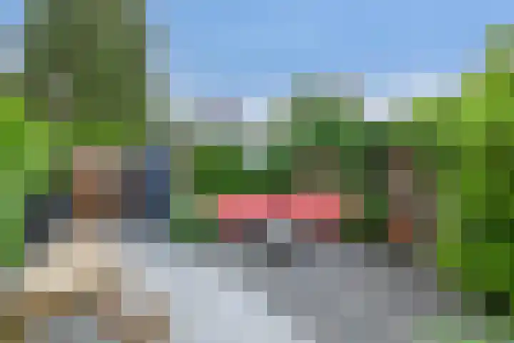 Ridderspoor 3 Hoevelaken thumbnail 35