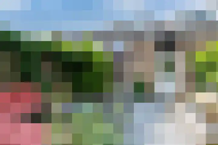 Ridderspoor 3 Hoevelaken thumbnail 38